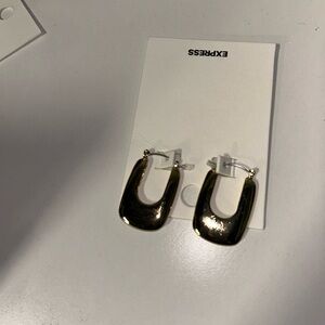 Express Gold Statement Earrings